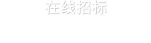 Online bidding